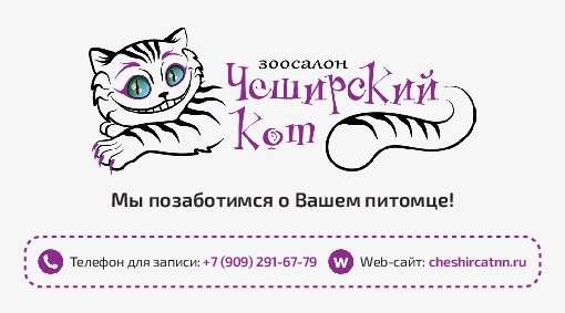 Чеширский кот ветеринарная клиника