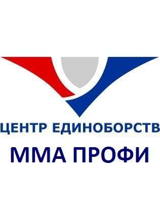 Профи нижний новгород. ММА профи центр единоборств. ММА профи Нижний. Логотип MMA профи Нижний Новгород. MMA профи Нижний Новгород Костина.